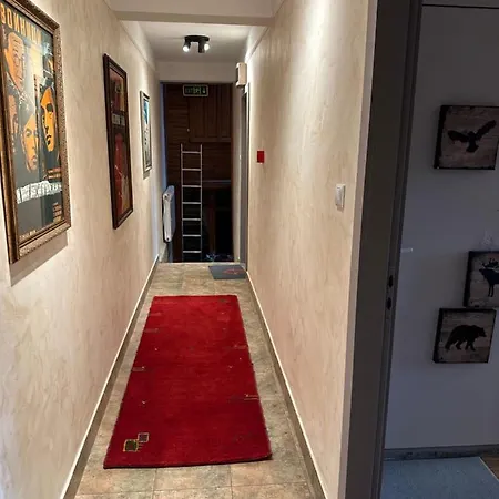 Le Cinema Shiroki Dol