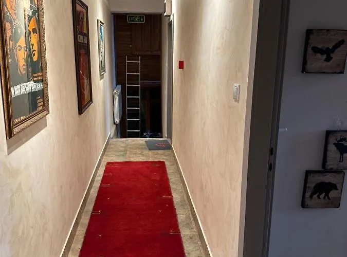 Le Cinema Shiroki Dol